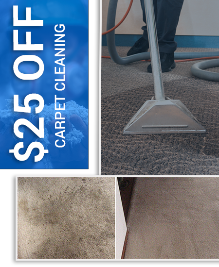 Carpet Cleaning TX Special Offer